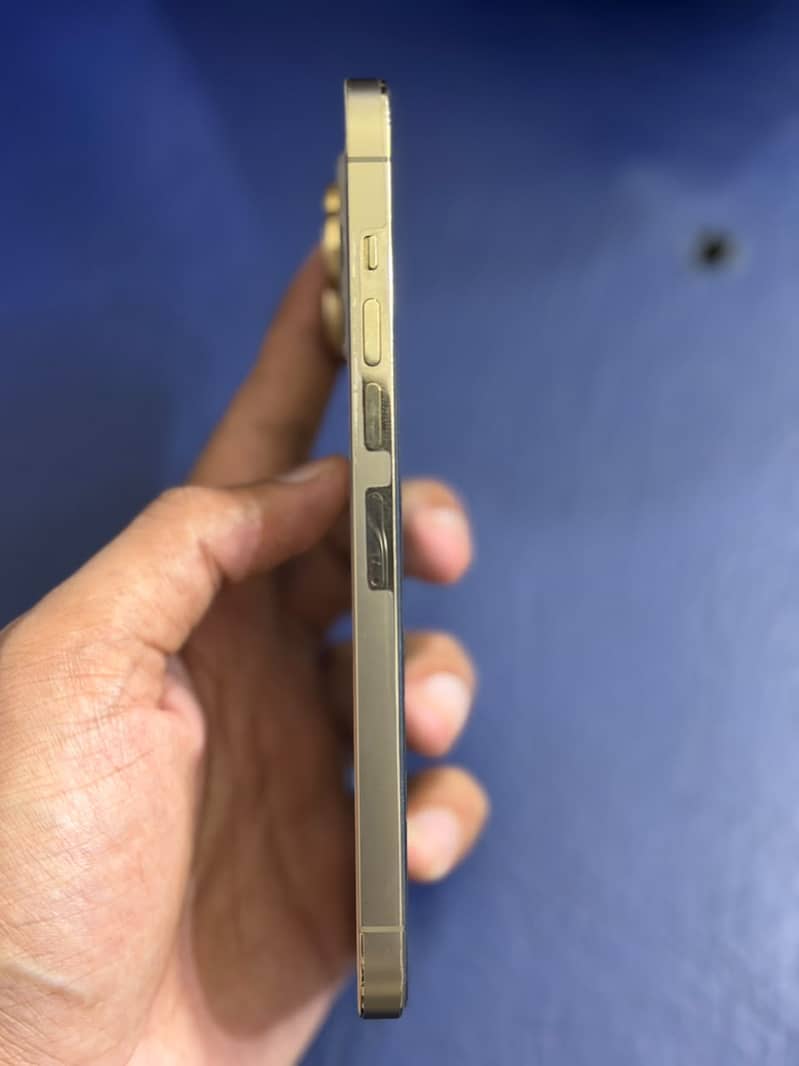 Apple iPhone 13 Pro Max 2