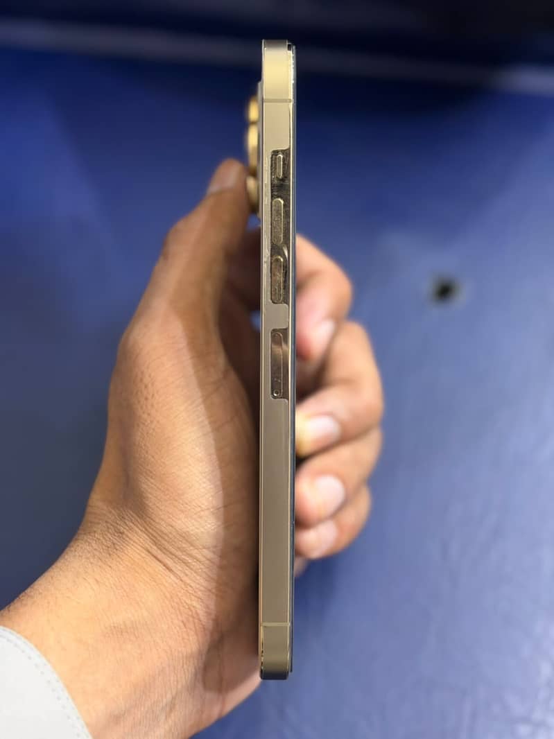 Apple iPhone 13 Pro Max 3
