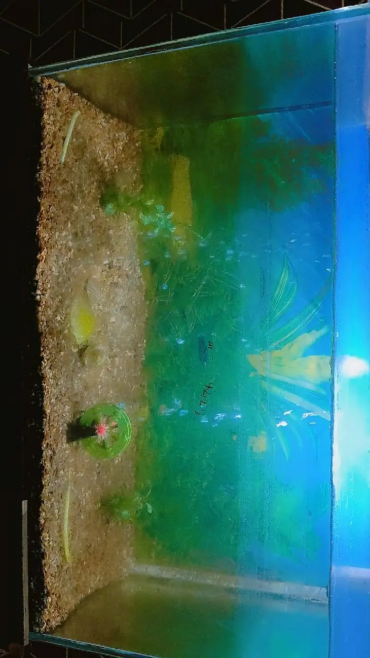 Aquirium with Fishes for sale , — photo 2