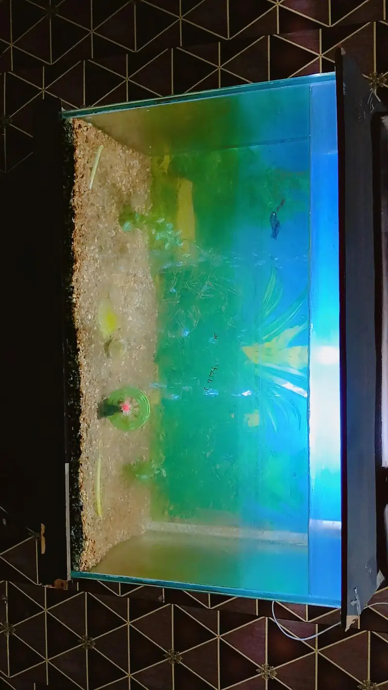 Aquirium with Fishes for sale , — photo 3