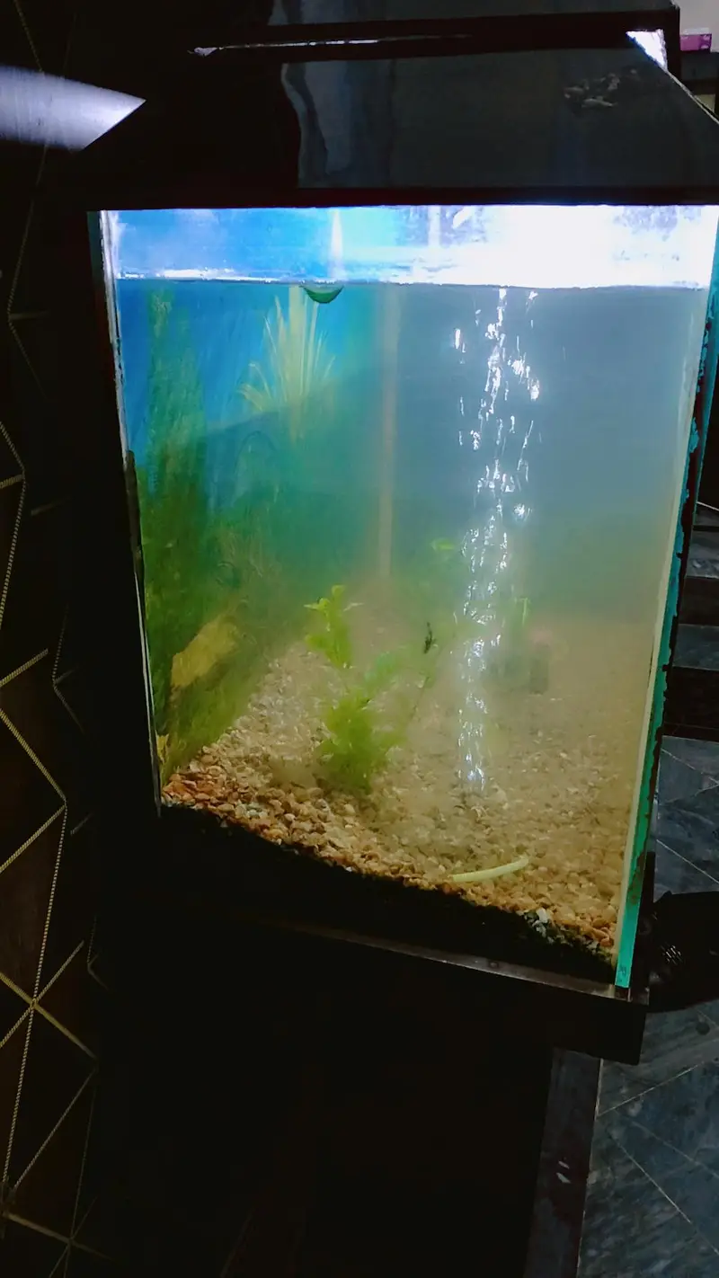 Aquirium with Fishes for sale , — photo 4