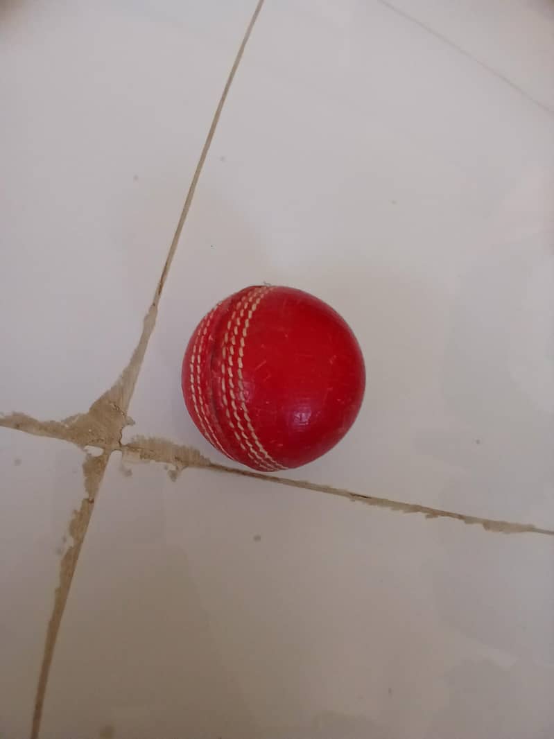 cricket kit 2
