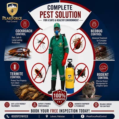 Termite treatment & Pest control service