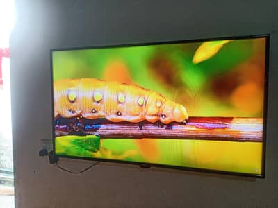 Led Smart tv Orient 40"