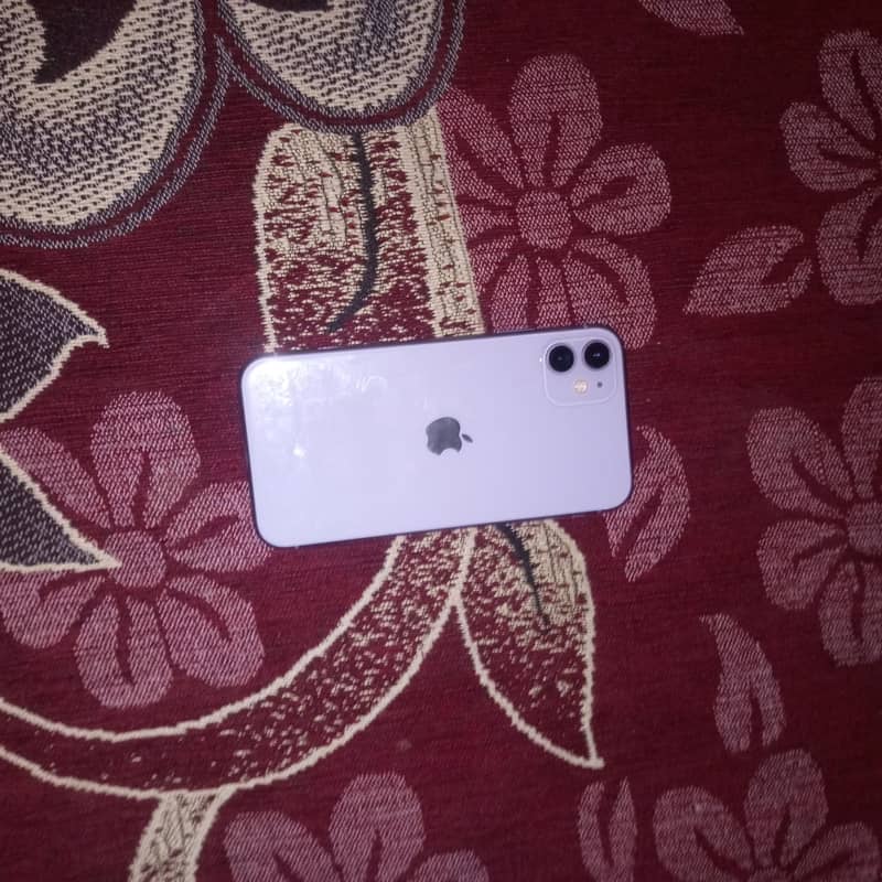 Apple iPhone 11 1