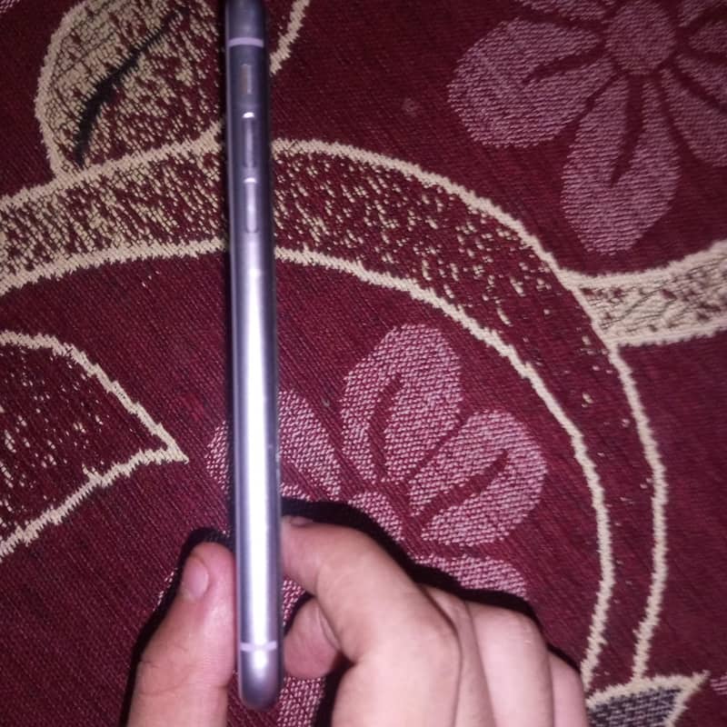 Apple iPhone 11 3
