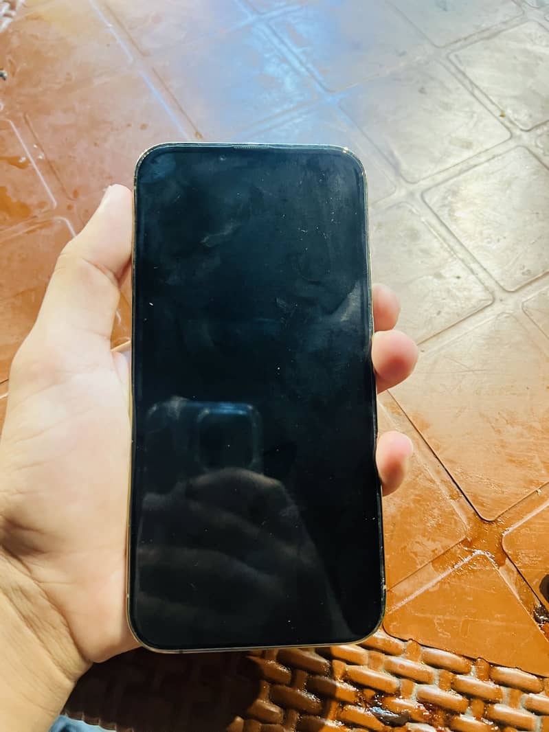 Apple iPhone 13 Pro Max 1