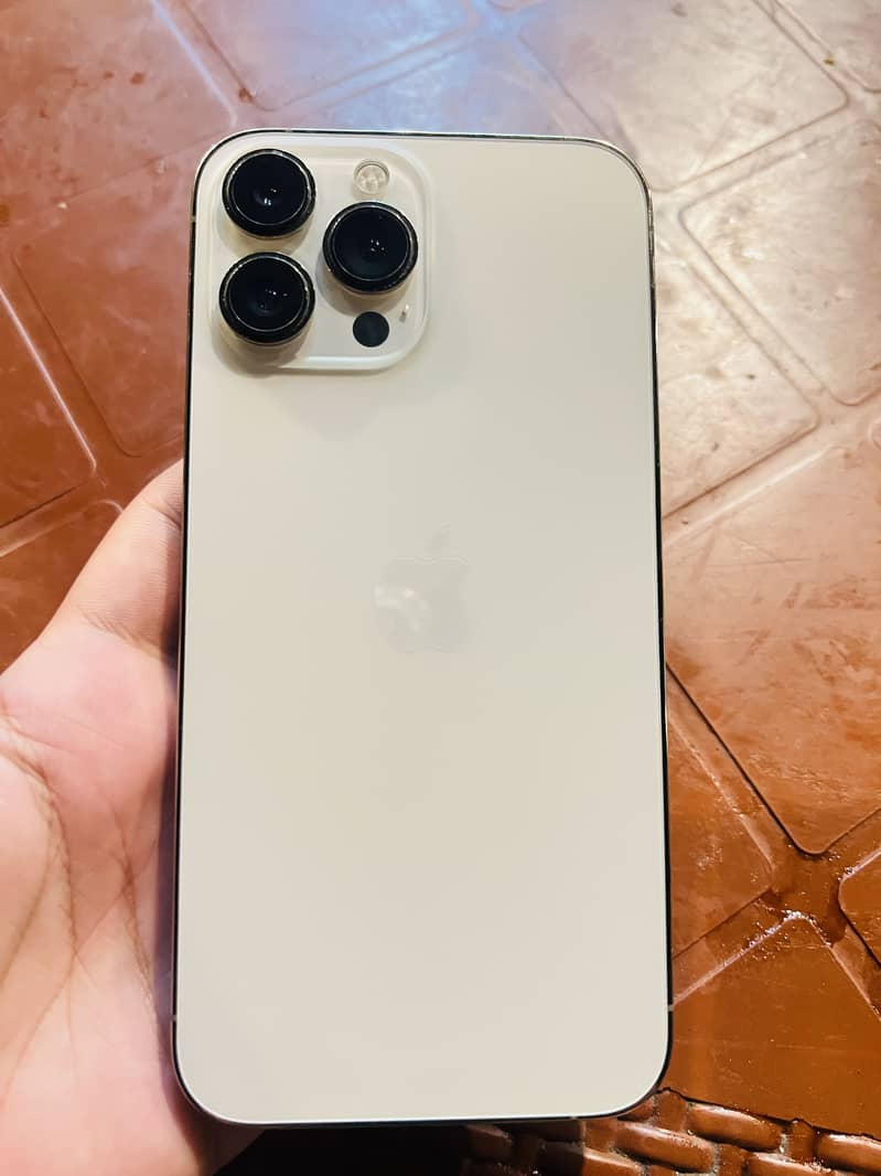 Apple iPhone 13 Pro Max 2