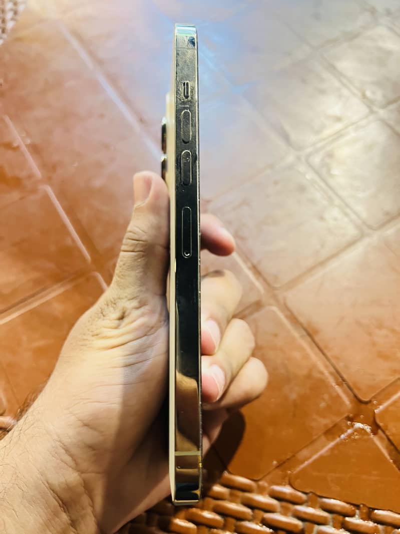 Apple iPhone 13 Pro Max 3