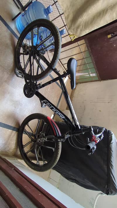 Fancy Kids Bicycle for Sale | Phoenix Bicycle | Used