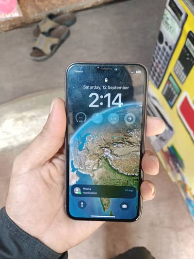 Apple iPhone X