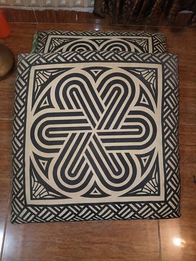 pack of 2 cushions