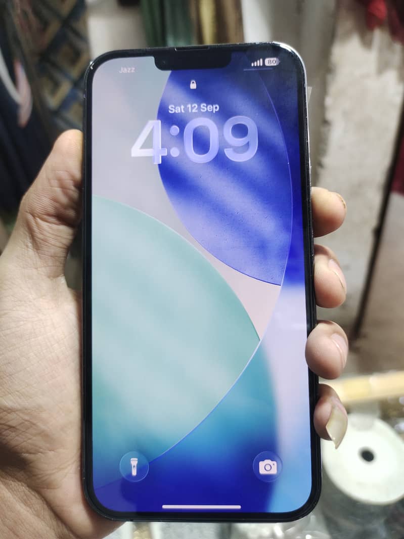 Apple iPhone 13 Pro Max 1