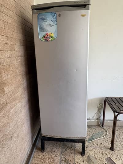 Deep Freezer Upright