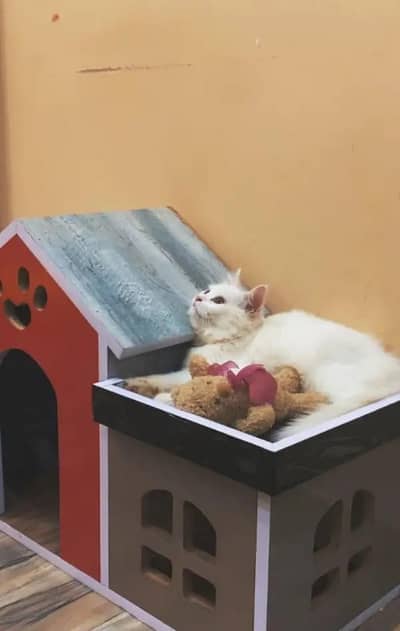 Cat House / Cat Bed House – Brand New – VIP Condition 10/10