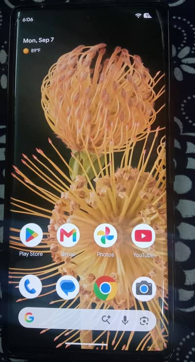 Google Pixel 6 Pro