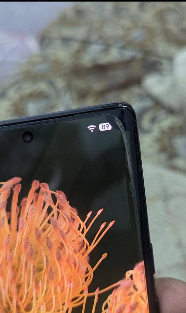 Google Pixel 6 Pro 1