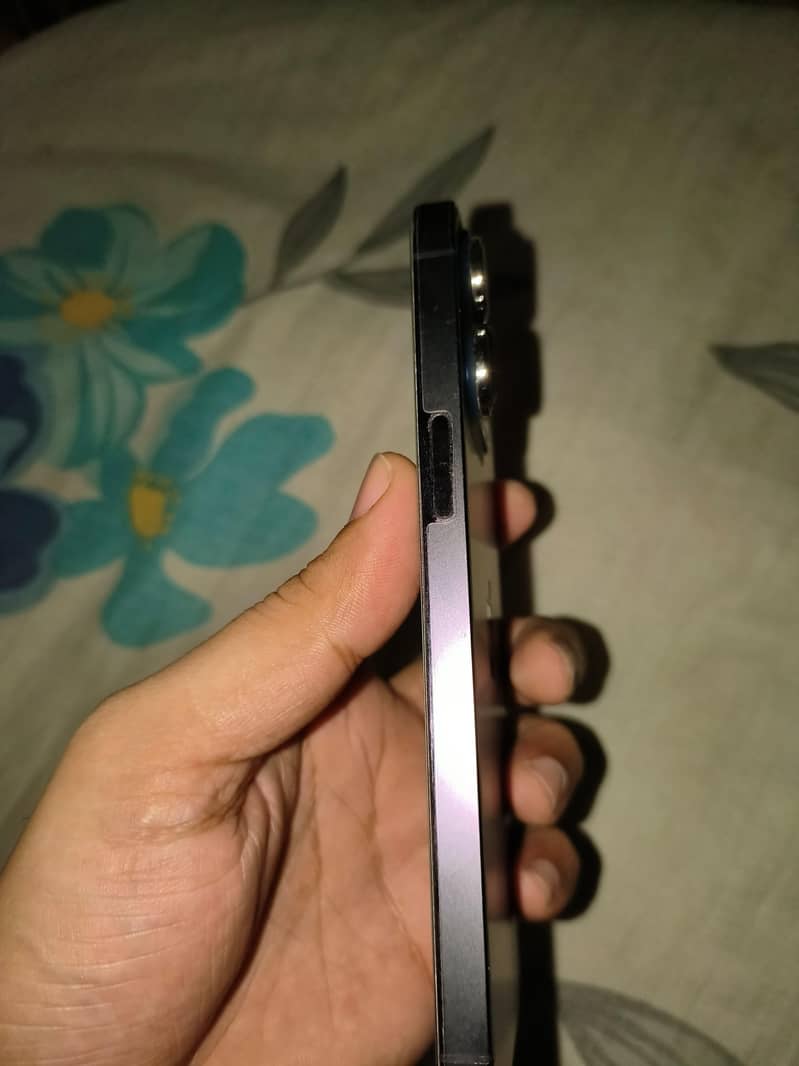 Apple iPhone 14 Pro Max 2