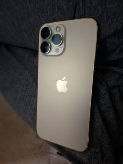 Apple iPhone 13 Pro Max