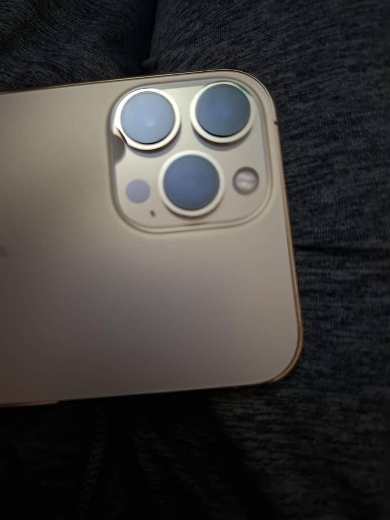 Apple iPhone 13 Pro Max 1