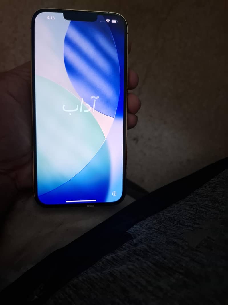 Apple iPhone 13 Pro Max 2