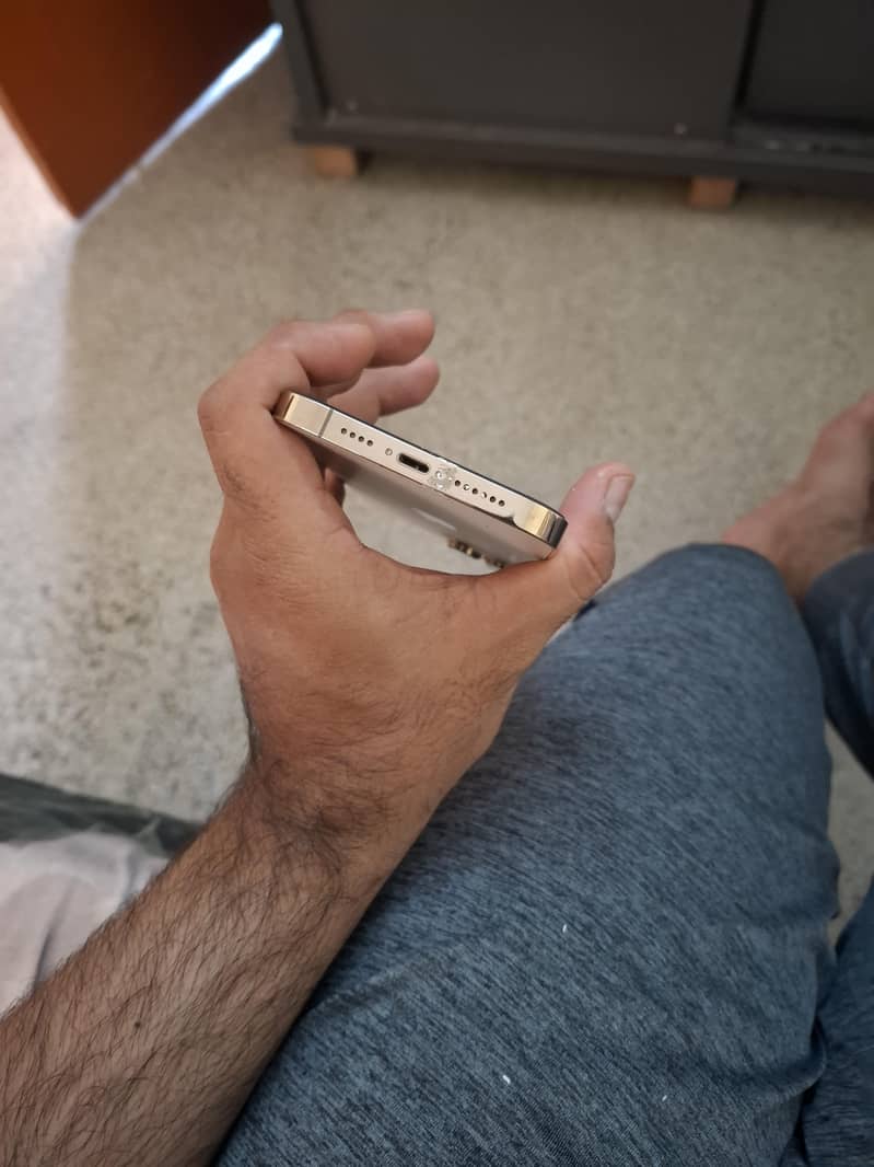 Apple iPhone 13 Pro Max 4