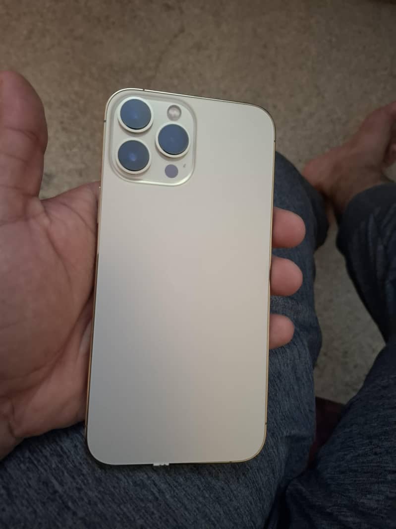 Apple iPhone 13 Pro Max 5