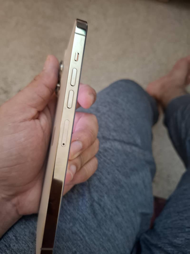 Apple iPhone 13 Pro Max 6
