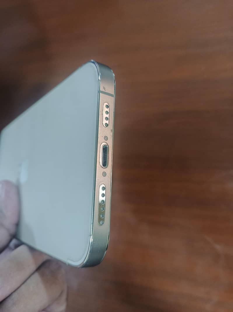 Apple iPhone 12 Pro Max 2