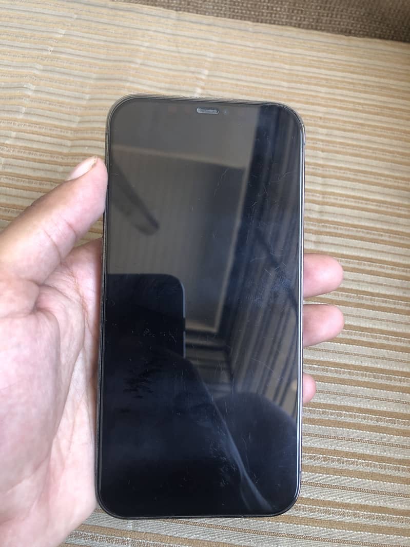 Apple iPhone 12 Pro Max 1