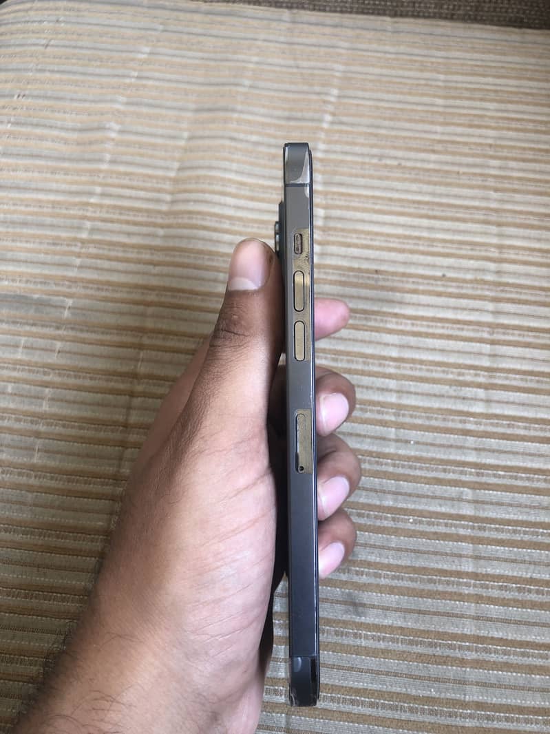 Apple iPhone 12 Pro Max 2