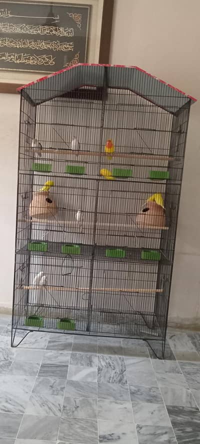 Big Six Portion Cage
