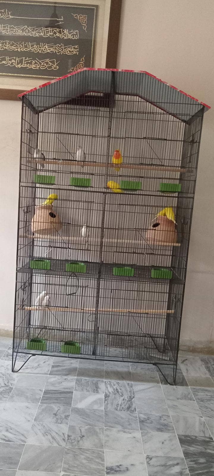 Big Six Portion Cage 0