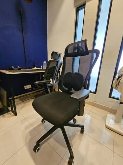 Pluto Ergonomic Office Chair | LR - 827