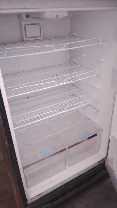Kenwood refrigerator