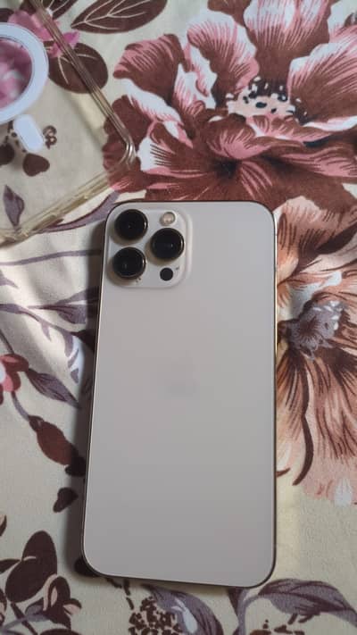 03445008002 Apple iPhone 13 Pro Max