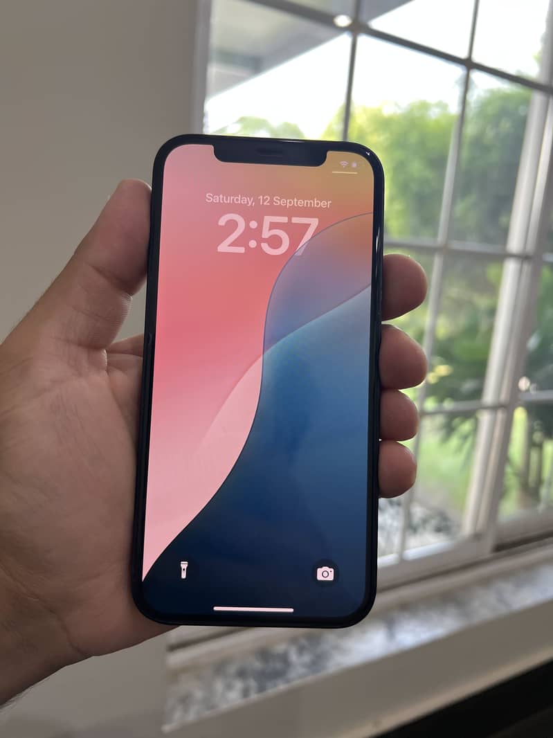 Apple iPhone 12 1