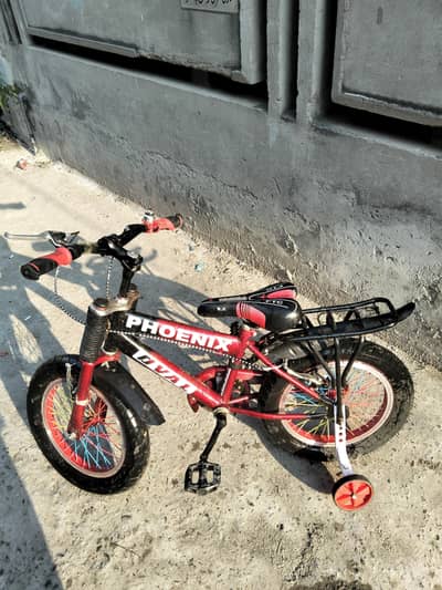 phoenix bicycle,