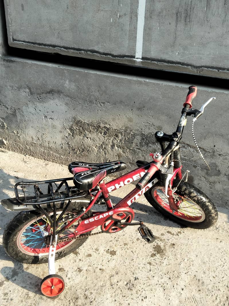phoenix bicycle, 1