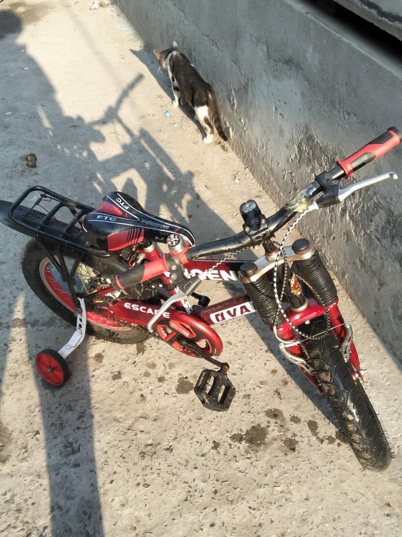 phoenix bicycle, 2