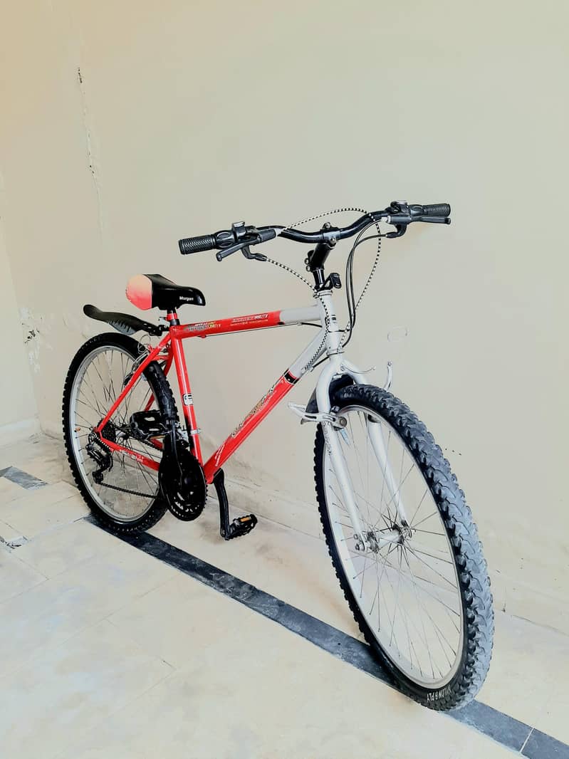 cycle sailing 1