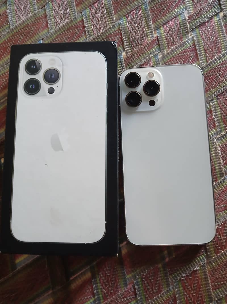 Apple iPhone 13 Pro Max 0