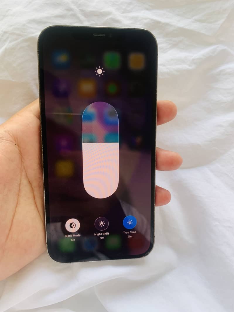 Apple iPhone 12 Pro Max 1