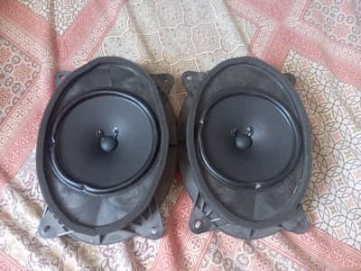 Japanese speakers brand new condition