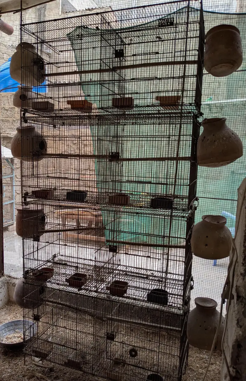 complete setup for sale (see description ) — photo 5