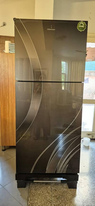 Electrolux refrigerator