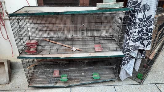 8 compartment cage for sale
