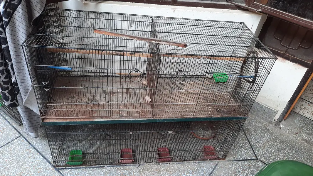 8 compartment cage for sale — photo 2