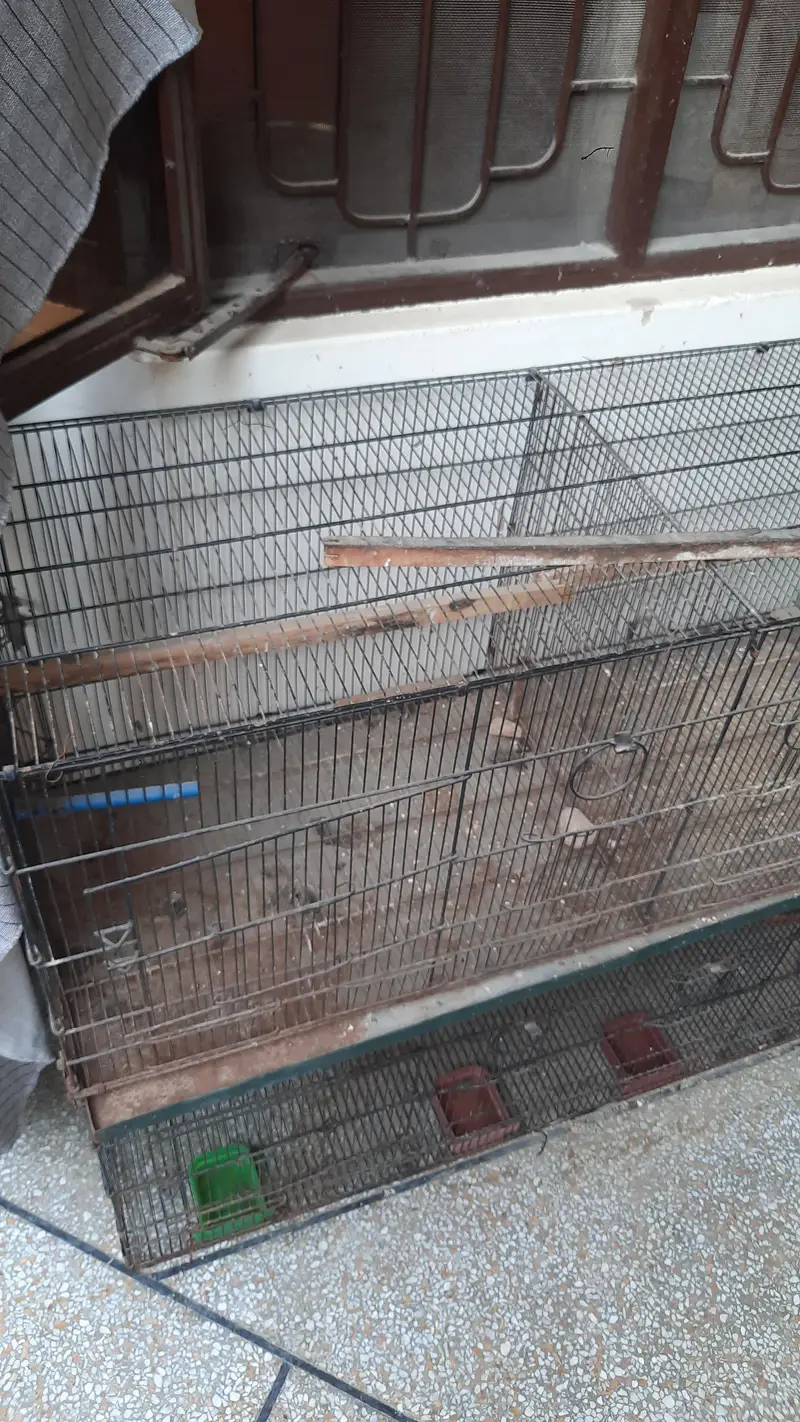 8 compartment cage for sale — photo 3