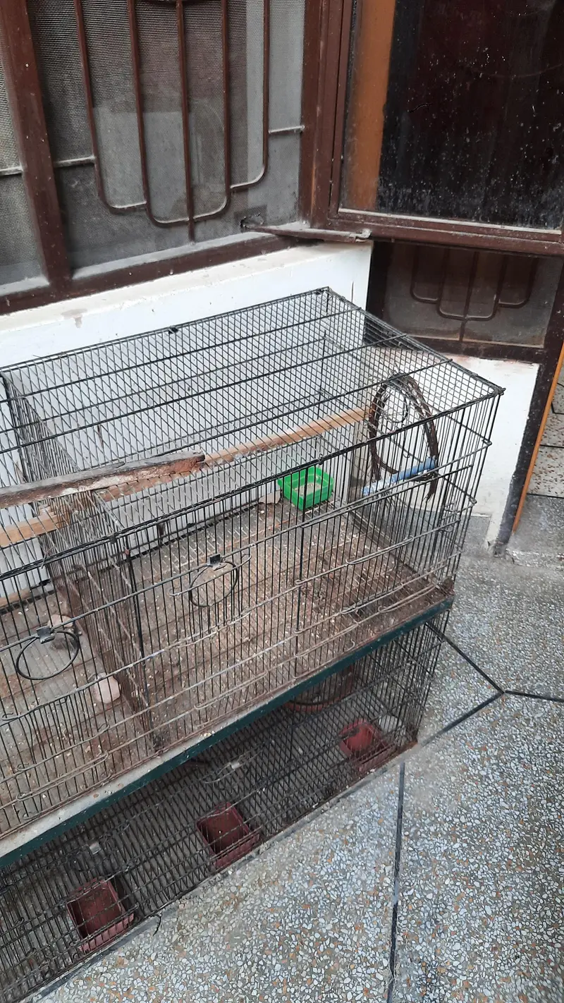 8 compartment cage for sale — photo 4